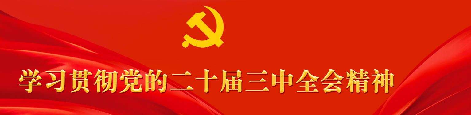 學(xué)習(xí)貫徹黨的三十屆三中全會(huì)精神